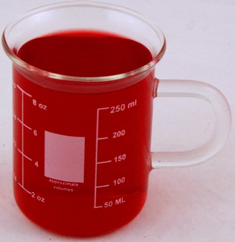 Glass Beaker Mug with Handle 250ml Great size for Coffee