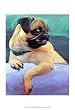 Ugly Betty: Robert McClintock. 13.00 inches by 19.00 inches. Art Print Poster