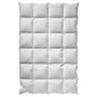 Billerbeck 5541760005 Daunendecke E05 Polaris Kass&hellip von Billerbeck