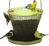 Bird Feeder, No No Brass Tray Feeder Formerly Upside Down Feeder