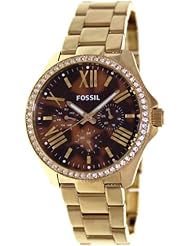 Fossil Cecile Multifunction Stainless Steel Watch - Gold-Tone Am4498