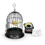 Addy's Songbird & Sweets