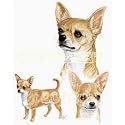 Chihuahua, Blond Desk Set