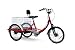 EWheels - Electric Trike Bicycle - EW-54 - Red