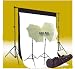 CowboyStudio Photography and Video Continuous Light kit, 5 X 10ft Black & White Muslin Backdrops with Backdrop Support System and Carry Case