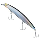 ダイワ(Daiwa) ショアラインシャイナーZ 120F 背グロフラッシュ 888776