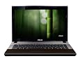 ASUS U43JC-X1 14-Inch Bamboo Laptop (10 Hours of Battery Life)