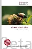 Odontolabis Siva-
