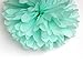 Fonder Mols Tissue Paper Flowers Pom Pom Decorations - Pack of 20 pcs 14