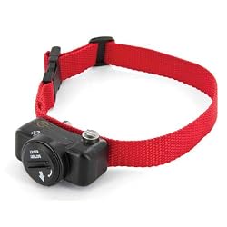 PetSafe In-Ground Deluxe Ultralight Collar with Radio Receiver, PUL-275