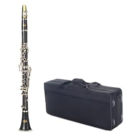 Barcelona B Flat Student Clarinet with Case and Accessories - Black