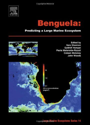 Benguela: Predicting a Large Marine Ecosystem (Large Marine Ecosystems)