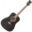 Dean Tradition Acoustic Guitar, Trans Black with Hardshell Case