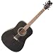 Dean Tradition Acoustic Guitar Trans Black w/Hardshell Case