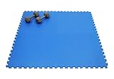 24" X 24" X ~5/8" Thick Multi-purpose Blue Mats (Set of 4)