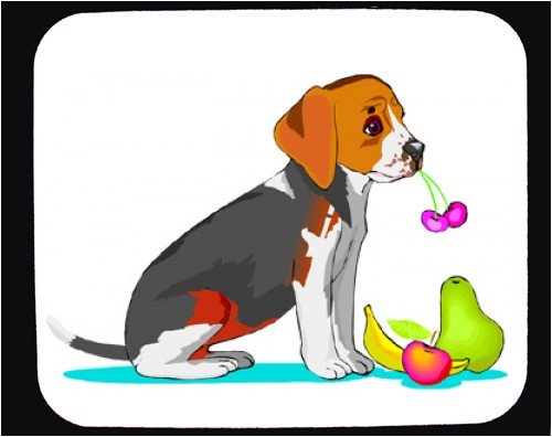 image link -  - B000T5QPNM