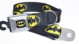 Batman Seat Belt Buckle Dog Collar 1.5 13-18