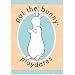 Pat the Bunny: Playdates