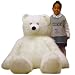 Plush Beauchamp White Bear 50