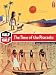 Produkt-Bild: (The Time of the Pharaohs) By Surget, Alain (Author) Paperback on (01 , 2009)