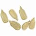 Roasted Sunflower Seeds Unsalted No Shell Unsalted