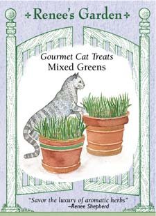 Gourmet Cat Treats - Mixed Greens Seeds