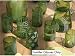 Rosanna Mondo Tumblers, Set of 6
