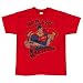 Search : Superman - This Is A Job T-Shirt
