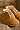 Mini Mel Chestnut Ugg Boots Uggs Size Small 0-8 months