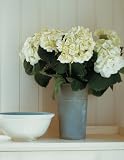 At Home with White