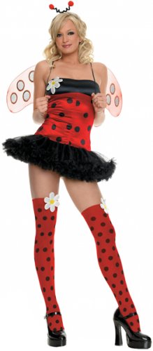 Ladybug Adult Costume