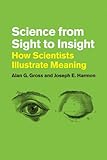 Science from sight to insight : how scientists illustrate meaning