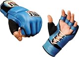 TITLE MMA Pride Style Fight Gloves