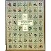 U. S. State Flowers in Counted Cross Stitch