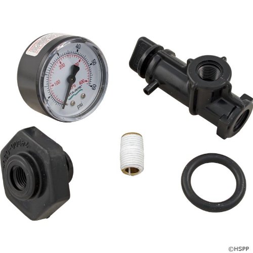 Pentair 24850 0105 Valve and Gauge Assembly Replacement for Select Sta