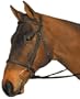 Wintec Bridle Without Flash Horse Black