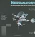 image and picture of Neuroanatomy: 3D-Stereoscopic Atlas of the Human Brain (With CD-ROM)