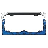 DolphinLicensePlateHolderFrameChrome
