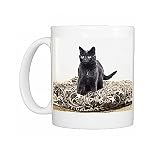 cat-russian blue Photo Mugs