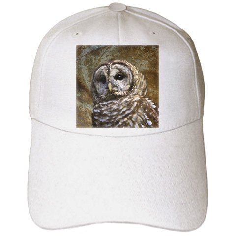 Angel Wings Designs Wildlife - Barn Owl fine art image - home décor - Caps