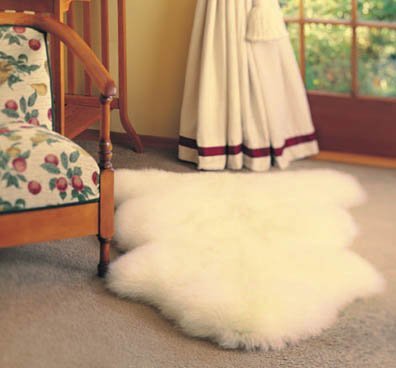 Sheep Skin Rug - Single Champagne 2' W x 3' L