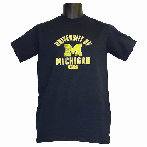 Buy Michigan Wolverines Champion Distressed T-Shirt