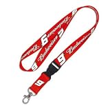 KASEY KAHNE NASCAR LANYARD KEYCHAIN BADGE HOLDER