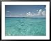 Bikini Atoll Healed from Nuclear Testing and is Now Teeming with Life, Notably the Gray Reef Shark National Geographic Collection Framed Art Poster Print by Bill Curtsinger, 39x31