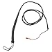 Long Bull Whip