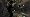 Dark Sector