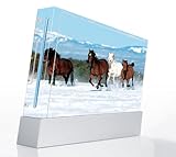 Mountain Running Horses Decorative Protector Skin Decal Sticker for Nintend ....