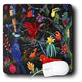 Steve Shachter Art - RAINFOREST BIRDS - Mouse Pads