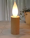 �t���������v �L�����h�� [L/�i�`������]