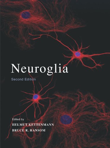 Neuroglia